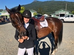 Rescue Horse Wins Gold